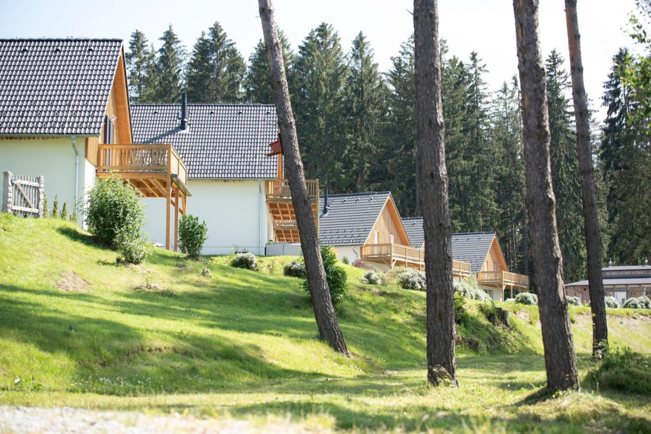 Villa Lipno Club